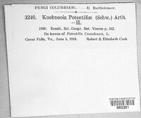 Image Associated With the Occurence